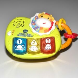 Vtech Tummy Time Discovery Multicolor